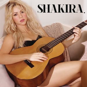 Can't Remember to Forget You (feat. Rihanna)