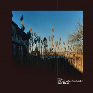 The Cinematic Orchestra Feat. Patrick Watson