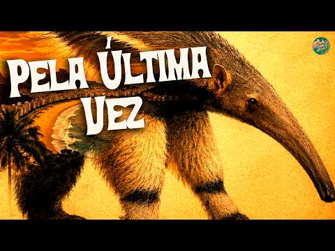 Grupo Menos É Mais, NATTAN - Pela Última Vez (Ao Vivo) || Letra/Lyrics