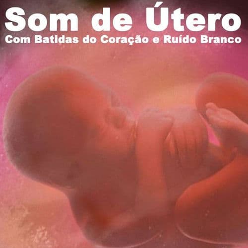 Womb Sound With Heartbeat And White Noise - Loopable