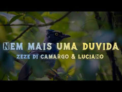 Zezé Di Camargo & Luciano - Nem Mais uma Dúvida