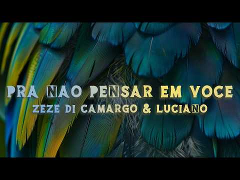 Zezé Di Camargo & Luciano - Pra Não Pensar Em Você
