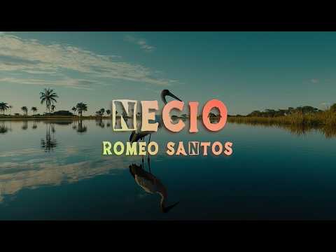 Romeo Santos - Necio ft. Santana